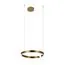 LOFT IT 10013M Подвесной светильник Ring