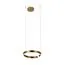LOFT IT 10013S Подвесной светильник Ring