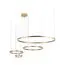 LOFT IT 10017/4S Подвесной светильник Ring