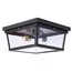 LOFT IT LOFT3110-2C Потолочный светильник Modern filament