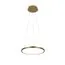 LOFT IT 10014S Подвесной светильник Ring