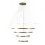 LOFT IT 10015/5 Подвесной светильник Ring