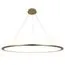 LOFT IT 10014XXL Подвесной светильник Ring
