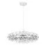 LOFT IT 1898/1000 Chrome Подвесной светильник Raimond