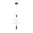 LOFT IT 10244/B Black Подвесной светильник Skylar