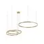 LOFT IT 10017/3S Подвесной светильник Ring
