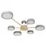 LOFT IT 10316/6 Grey Потолочный светильник Sunrise
