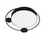 LOFT IT 10062 Потолочный светильник Mike