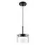LUMION 8232/1 COMFI LN25 193 черный/прозрачный, металл/стекло Подвес LED GX70 1*10W 220V NATALINA, изображение 5