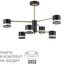 LUMION 8240/6C COMFI LN25 197 черный/латунь, металл/акрил Люстра потолочная LED GX53 6*7W 220V LANIKA