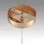 LUMION 8083/1A LEDIO LN25 320 золото/прозрачный, металл/акрил Подвесной светильник LED 1*3W 220V RIMINI, изображение 7
