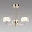 LUMION 6579/40CL LEDIO LN24 золото/прозрачный/металл/пластик Люстра потолочная LED 40W 220V VENICE, изображение 3