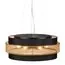LUMION 8003/A MODERNI LN25 161 черный/ металл/металл Подвесное крепление 220V ANIMAISA, изображение 3