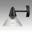 LUMION 6595/1W MODERNI LN25 183 черный/прозрачный, металл/стекло Бра E27 1*60W 220V CORNE, изображение 6