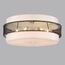 LUMION 8002/6C MODERNI LN25 159 белый, черный металл/металл, текстиль Потолочный светильник Е27 6*60W 220V ANIMAISA, изображение 6