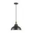 LUMION 3675/1 SUSPENTIONI LN18 322 матовый черный Подвес E27 60W 220V DARIO