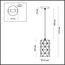 LUMION 3729/1 SUSPENTIONI LN19 336 черный Подвес E27 1*60W 220V OLAF, изображение 2