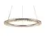 Newport 8241/600 chrome; М0066844 Подвесной светильник chrome, изображение 2
