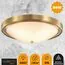 LUMION 5259/4C VINTAGE LN23 85 латунь Настенно-потолочный светильник E27 4*60W 220V NINA, изображение 4