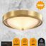 LUMION 5259/2C VINTAGE LN23 85 латунь Настенно-потолочный светильник E27 2*60W 220V NINA, изображение 3