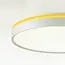 SONEX 7709/EL COLOR SN 154 Светильник пластик/желтый LED 70Вт 3000-6000К D500 IP43 пульт ДУ KEZO YELLOW, изображение 10