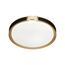 SONEX 7667/DL COLOR SN 132 Светильник пластик/белый/черный/золотой LED 48Вт 4000К D405 IP43 FAVEMO BLACK, изображение 5