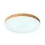 SONEX 7761/50L MITRA LED SN 107 Светильник пластик/белый/под дерево LED 50Вт 3000-6500K D500 IP54 CCT GAMMA, изображение 9