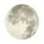 SONEX 3084/DL PALE SN 117 Светильник пластик/белый/серый LED 48Вт 4000К D380 IP43 MOON, изображение 7