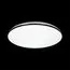 SONEX 3042/DL TAN SN 167 Светильник пластик/черный LED 48Вт 3000-6500К D385 IP43 пульт ДУ/ LampSmart VAKA, изображение 4