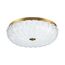 SONEX 7719/48L PIKO LED SN 027 Светильник металл/стекло/прозрачный/золотой LED 48Вт 3000-6500K D400 IP20 пульт ДУ TESORO, изображение 11