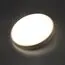 SONEX 7607/DL PALE SN 170 Светильник пластик/беж. под дерево LED 48Вт 3000-6300K D400 IP43 пульт ДУ LOSTA, изображение 4