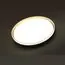 SONEX 7619/EL PALE SN 160 Светильник пластик/черн./золот. LED 72Вт 3000-6300K D490 IP43 пульт ДУ SAVI, изображение 4