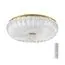 SONEX 7719/60L PIKO LED SN 40 Светильник металл/стекло/прозрачный/золотой LED 60Вт 3000-6500K D500 IP20 пульт ДУ TESORO