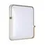 SONEX 7680/EL PALE SN 190 Светильник пластик/золотой LED 70Вт 3000-6000К 490х485 IP43 пульт ДУ OLIDI WHITE, изображение 8