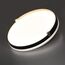 SONEX 7647/CL PALE SN 189 Светильник пластик/белый/черный/золотой LED 30Вт 4000К D340 IP43 OLIDI BLACK, изображение 3