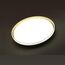 SONEX 7619/DL PALE SN 160 Светильник пластик/черн./золот. LED 48Вт 3000-6300K D390 IP43 пульт ДУ SAVI, изображение 4