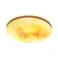 SONEX 7726/EL PALE SN 115 Светильник пластик/мульти LED 70Вт 3000-6000К D475 IP43 пульт ДУ SUN, изображение 7