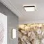 SONEX 7621/DL PALE SN 162 Светильник пластик/черн./медный LED 48Вт 3000-6300K 440х440 IP43 пульт ДУ EFFA, изображение 3