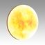 SONEX 7726/DL PALE SN 115 Светильник пластик/мульти LED 48Вт 3000-6000К D375 IP43 пульт ДУ SUN, изображение 6