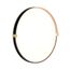SONEX 7647/DL PALE SN 189 Светильник пластик/белый/черный/золотой LED 48Вт 4000К D390 IP43 OLIDI BLACK, изображение 6