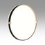 SONEX 7647/DL PALE SN 189 Светильник пластик/белый/черный/золотой LED 48Вт 4000К D390 IP43 OLIDI BLACK, изображение 4