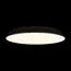 LOFT IT 10226 Black Потолочный светильник Brim, изображение 2