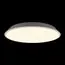LOFT IT 10226 White Потолочный светильник Brim, изображение 2
