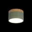 LOFT IT 10162 Green Накладной светильник Grape, изображение 2