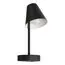 LOFT IT 10216/1W Black Настенный светильник Shelf, изображение 5
