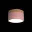 LOFT IT 10162 Pink Накладной светильник Grape, изображение 2