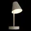 LOFT IT 10216/1W White Настенный светильник Shelf, изображение 4