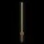 LOFT IT 10159GD Настенный светильник Rays, изображение 4
