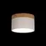 LOFT IT 10162 White Накладной светильник Grape, изображение 2