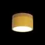LOFT IT 10162 Yellow Накладной светильник Grape, изображение 2
